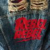veste en jean longue dos